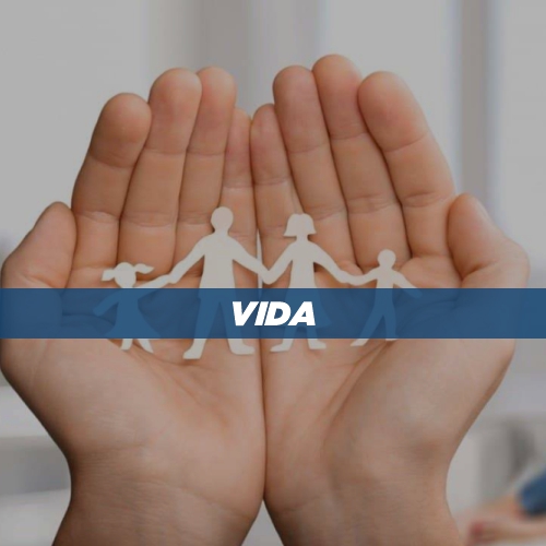 VIDA